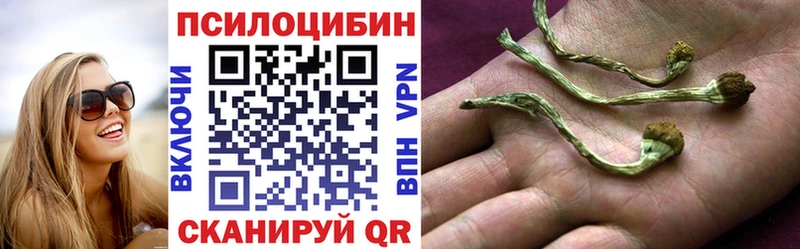Галлюциногенные грибы мицелий  закладка  Ахтубинск 